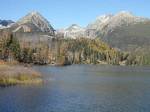 Nezábudka apartments - Vysoke Tatry