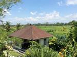 Ubud Rice Field Villa