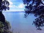 Auckland Clifftop