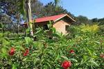 Costa Rica Holiday Home by Beach and Rain Forest