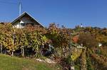 Vineyard Cottage Vercek