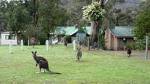 Halls Gap Caravan Park