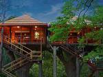 Rangerwood Machan Jungle Tree House