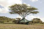 Green Camp Serengeti