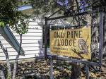 Owl Pine Cabin 1551