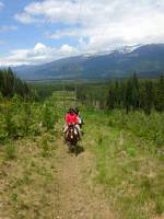 Willow Ranch Valemount