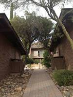 Mission Hills Casitas by Arizona Housing Solutions - PV8