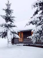 Bukovel Yasіnya Bed And Breakfast