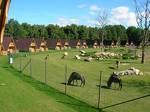 Safari Park Öland