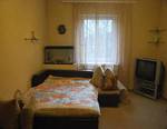 Apartament Chernyshevskogo