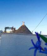 Trulli Fenice Alberobello