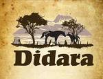 Hotel Didara