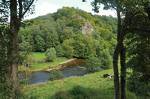 Vue sur l'Ourthe