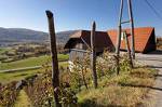 Vineyard cottage Ludvikov hram