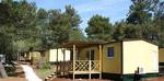 Mobile homes Adriatic Camping Brijuni - Pineta**