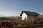 Vineyard cottage Kambic