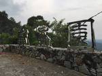 Bao Sheng Durian Farm