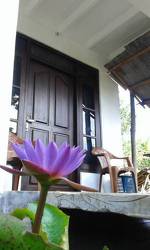 Riverside Lal Homestay