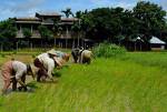 Myanmar Beauty Hotel II