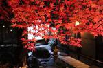 100 Years Old Kyoto Gardener House