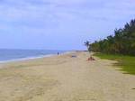 Marari Nest Beach Homestay