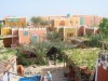 Bedouin Garden Village