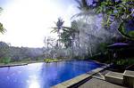 Villa Capung Mas Ubud