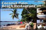 Coconut Palm Guesthouse