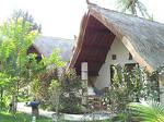 Nelly Homestay