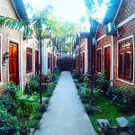 Son Vinh Guest House