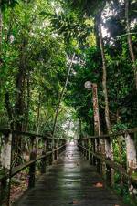 Kinabatangan Jungle Camp