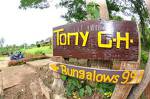 Tony Guesthouse