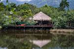 Tree House Cottages