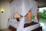 Tiara Homestay Pemuteran Bali