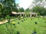 Sigiriya Kings Park