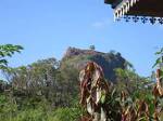 Sigiriya Nieel Home Stay