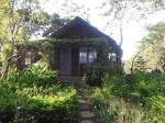 Pine Hill Homestay Dalat