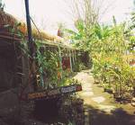 Damai Homestay Gili Air