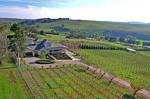 Waybourne- Vineyard and Winery