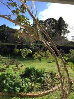 Te Moana Bed & Breakfast