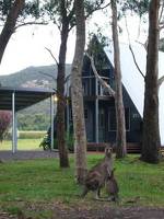 The A-Frame Chalet