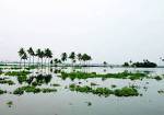 Alleppey Green Tourism