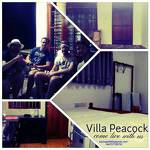 Villa Peacock