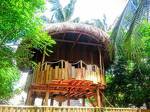 Gili Treehouses