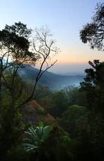 Eagle Mountain Munnar