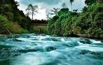 Rivertree Munnar