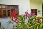 Orchid Selfcatering