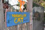 Traveller Cat Guesthouse