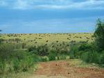 Crocodile Camp-Masai Mara