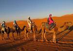 Dream camp Merzouga